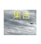 戦闘機の写真で伝える日常会話パート3♬（個別スタンプ：10）