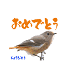 【年末年始・お正月】可愛い野鳥スタンプ！（個別スタンプ：13）