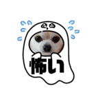 428(4)（個別スタンプ：4）