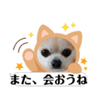 428(4)（個別スタンプ：11）