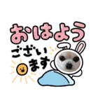 428(4)（個別スタンプ：13）