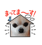 428(4)（個別スタンプ：23）