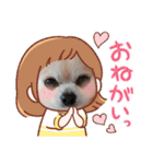 428(4)（個別スタンプ：33）