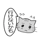 ひと言伝えるふきだしネコ 20（個別スタンプ：24）