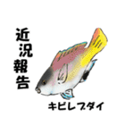 fish in the sea 10（個別スタンプ：10）