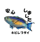 fish in the sea 10（個別スタンプ：11）