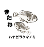 fish in the sea 10（個別スタンプ：16）