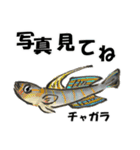 fish in the sea 10（個別スタンプ：18）