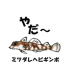 fish in the sea 10（個別スタンプ：20）