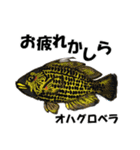 fish in the sea 10（個別スタンプ：23）