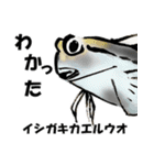 fish in the sea 10（個別スタンプ：25）