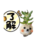 家族スタンプ菅原家12（個別スタンプ：38）