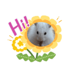 ハムスターもっち（個別スタンプ：4）