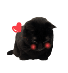 黒猫のもふ③（個別スタンプ：2）