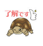 ケヅメちゃんスタンプー敬語ー（個別スタンプ：2）