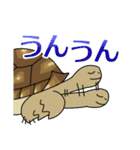 ケヅメちゃんスタンプー敬語ー（個別スタンプ：3）