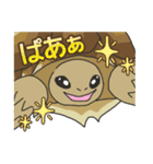 ケヅメちゃんスタンプー敬語ー（個別スタンプ：4）