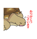 ケヅメちゃんスタンプー敬語ー（個別スタンプ：5）