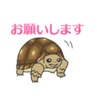 ケヅメちゃんスタンプー敬語ー（個別スタンプ：7）