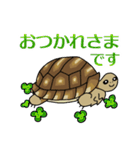 ケヅメちゃんスタンプー敬語ー（個別スタンプ：8）