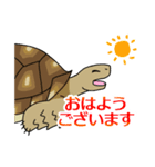 ケヅメちゃんスタンプー敬語ー（個別スタンプ：10）