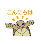 ケヅメちゃんスタンプー敬語ー（個別スタンプ：11）