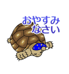 ケヅメちゃんスタンプー敬語ー（個別スタンプ：12）