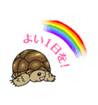 ケヅメちゃんスタンプー敬語ー（個別スタンプ：16）