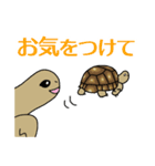 ケヅメちゃんスタンプー敬語ー（個別スタンプ：18）