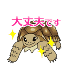 ケヅメちゃんスタンプー敬語ー（個別スタンプ：21）