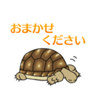 ケヅメちゃんスタンプー敬語ー（個別スタンプ：22）