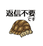 ケヅメちゃんスタンプー敬語ー（個別スタンプ：24）