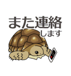 ケヅメちゃんスタンプー敬語ー（個別スタンプ：26）