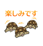 ケヅメちゃんスタンプー敬語ー（個別スタンプ：27）