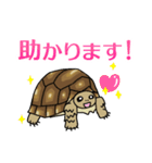 ケヅメちゃんスタンプー敬語ー（個別スタンプ：28）