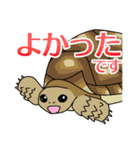 ケヅメちゃんスタンプー敬語ー（個別スタンプ：30）