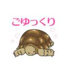 ケヅメちゃんスタンプー敬語ー（個別スタンプ：31）