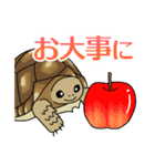 ケヅメちゃんスタンプー敬語ー（個別スタンプ：32）