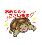 ケヅメちゃんスタンプー敬語ー（個別スタンプ：37）