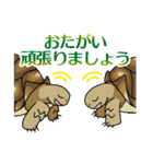 ケヅメちゃんスタンプー敬語ー（個別スタンプ：38）