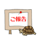 ケヅメちゃんスタンプー敬語ー（個別スタンプ：39）