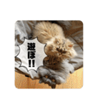 ベベエマスタンプ2（個別スタンプ：18）