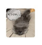 ベベエマスタンプ2（個別スタンプ：37）