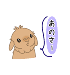 うさぎのめぇさんの日常会話スタンプ7（個別スタンプ：8）