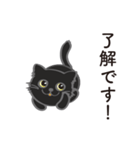 可愛い黒猫のボブ No.02（個別スタンプ：1）
