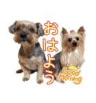 レオン・ナナ（個別スタンプ：1）