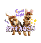 レオン・ナナ（個別スタンプ：4）