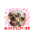 レオン・ナナ（個別スタンプ：5）