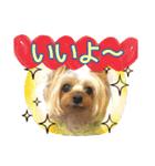 レオン・ナナ（個別スタンプ：14）