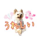 レオン・ナナ（個別スタンプ：17）